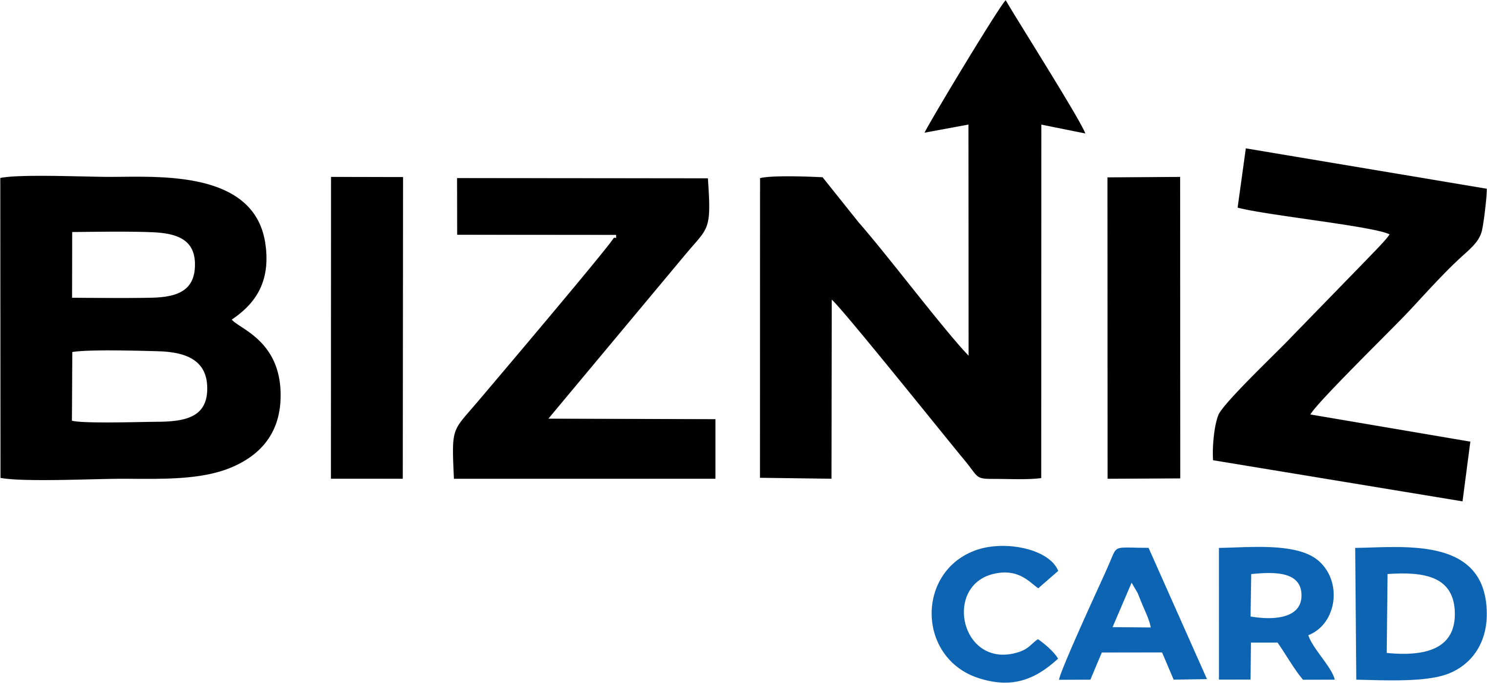 BiznizCard